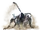 Shrouded Nerscylla