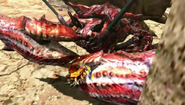 MH4U-Daimyo Hermitaur Screenshot 001