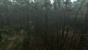 MHFU-Old Jungle Screenshot 039.png