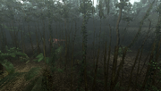 MHFU-Old Jungle Screenshot 039