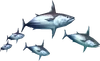 3rdGen-Fish Render 008