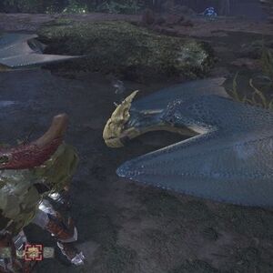Mernos Monster Hunter Wiki Fandom Wingdrake hide return to list. mernos monster hunter wiki fandom