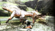 Great Jaggi