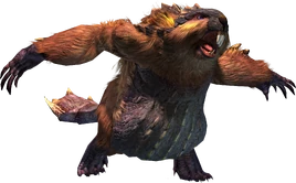 MHO-Caeserber Render 001