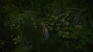 MHO-Forest and Hills Screenshot 049