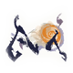 Rachnoid