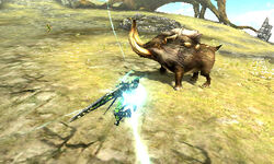 Bulldrome Photo Gallery Monster Hunter Wiki Fandom