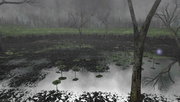 MHFU-Old Swamp Screenshot 007.png