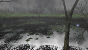 MHFU-Old Swamp Screenshot 007