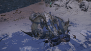 A Barioth eating a Popo corpse