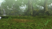 MHFU-Great Forest Screenshot 002.png