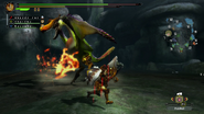 MH3U-Qurupeco Screenshot 013