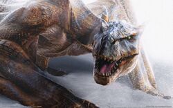 Wallpapers Monster Hunter Wiki Fandom Wallpapers Monster Hunter Wiki Fandom