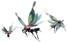 MHRise-Render Bnahabra