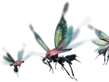 Bnahabra