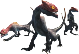 MHW-Render Shamos