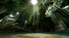 Fosa Wyvern 竜ノ墓場