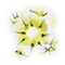 MHRise-Icono Noctiluca