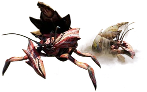 Hermitaur (212 kB) Hermitaur