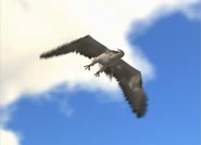 Comunicación de datos