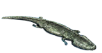 MHX-Render Koolasuchus