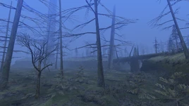 MHFU-Viejo Pantano