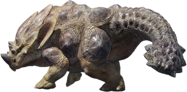 Rhenoplos