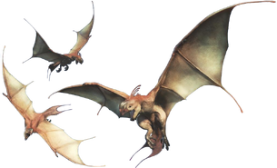 Raphinos