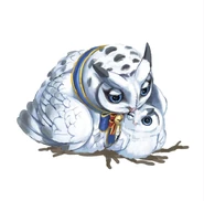 Concepto de Bubo nival de Sunbreak