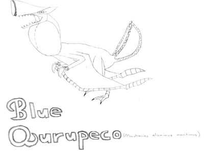 Blue Qurupeco