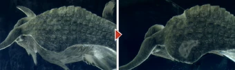 CeadeusBruch1
