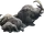 Popo