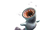 Giggi