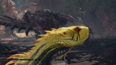 Jagras11