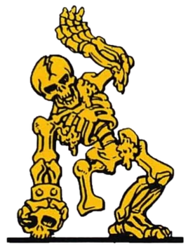 Skeleton