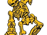 Skeleton