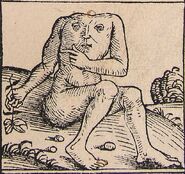 636px-Nuremberg chronicles.jpg (139 KB)