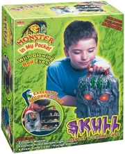 Skull Carry Case Box