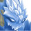 Ledovech