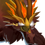 Greedy Dragon