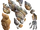 Rockneto