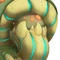Thumb-Psilotus