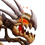 Megaosteum