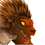 Boneticore