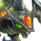Trilops