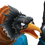 Karasu