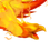 Fenix