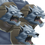 Coldberus