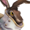 Rabbish