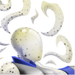 Lux Aura